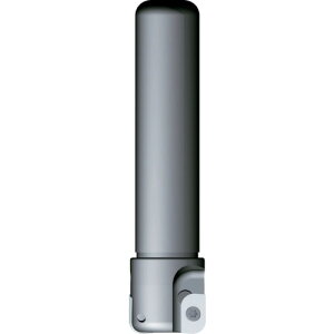 �x�m�� �t���C�X�H�� ���݂��� �V�����N��25 ���H�a��30 2�D5R�`5R �����O�^�C�v SK25-30ALRL �y796-7802�z