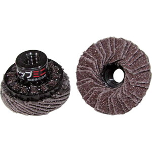 ���i�Z TOP�~�j�f�B�X�N 30xM7xP0�D75 ��100 TOP30A6 �y�����F5�z �y812-6738�z