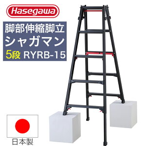 yZ[N[|zJH r 5i Lk VK} ͂ Jr A~ nZK ubN 5i RYRB-15 y686-9466z