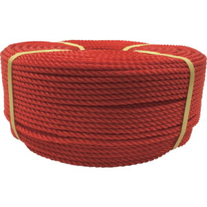 ���^�J���C�N ���[�v PE���[�v���� 5��×200m ���b�h PE-91 �y113-5463�z