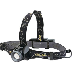 MASTER�|TO GLANZ�w�b�h���C�g RVH-10R �y686-5401�z