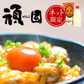 【送料無料】 生卵 卵かけご飯 マヨネーズ セット たまご 卵 赤玉 お試し 高級 高級卵 濃厚 鶏卵 栄養 新鮮 ギフト プレゼント ビタミン 保証 卵かけ ご飯 パック 包装 玉子