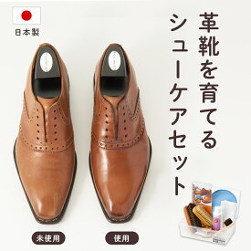 靴磨きセット シューケアセット ジュエル JEWEL シューケアボックス ローファー おすすめ メンズ レディース 簡単 ケース付 コスパ 革靴 手入れセット 工具箱 メンテナンス ケア ギフト スニーカーケア パンプス レザー スコッチグレイン リーガル ハルタ アディダス
