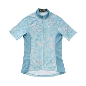 [Jy~[] TCNW[W fB[X {^jJvgW[W