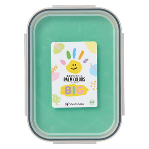 V`n^ X^v ` X^vpbh PALM COLORS BIG ݂ǂ HPS-B-G