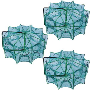 ߂ 3Zbg  Jj߂JS Jj ܂肽ݎ tBbVOgbv 6 a60cm O[ Jj Gr AiS EiM ^R   lbgQ[W