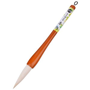 M ߕM  KM  s wZʗp w lp