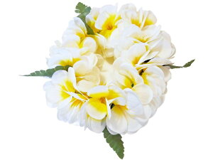 t_X nNC C|I wbhoh vA 炩 _u zCg CG[   nN 50cm Lk t[TCY S