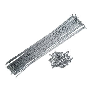 X AUTOHAUX ]ԃX`[X|[N 14G Jxh 240 mm TCNX|[N ^Jjbvt X`[X|[N }EeoCN MTBp 36