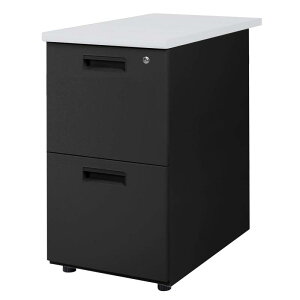 ibcfXN fXNS 2i t Vj[O[×{̃ubN LD-WD2