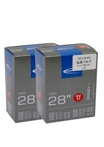 SCHWALBE(Vx) 700×28/45Cp`[u ou 17SV 2{Zbg