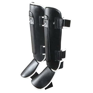 isami CT~ FS-11 VK[hTS Xl G veN^[ iZ   LbN{NVO i