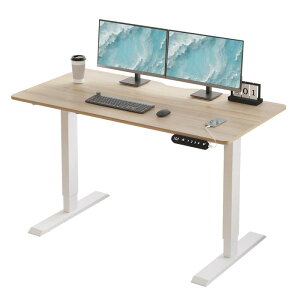 Radlove デスク 昇降式 パソコンデスク ゲーミングデスク 机 電動昇降式スタンディングデスク パソコンラック PCデスク つくえ 高さ調節可能 高さ調節メモリー機能付き 幅100CM×奥行60CM 高さ69~