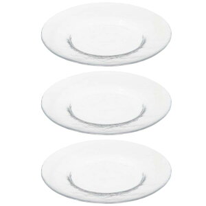 ���m���X�؃K���X ���M �v���[�g ���{�� DISHWARE_PLATE