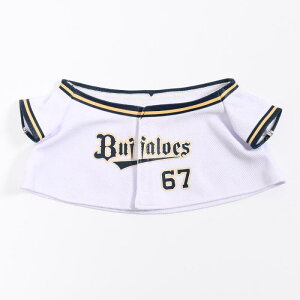 s\Iver.tot@[Y|^ʂݗpjtH[