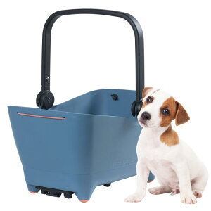 BASIL(oW) ]ԃJS ybgp ofB[hbO AoXPbg MIK2.0