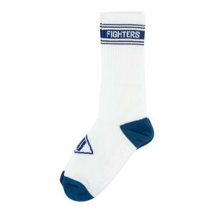 [TRYL] \bNX kC{nt@C^[Y