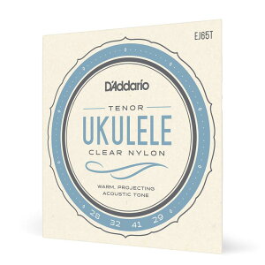 D'Addario �_�_���I �E�N������ Pro-Arte Custom Extruded Nylon EJ65