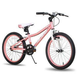 HILAND qp] Climber 20C ] X|[coCN VOXs[h ϑȂ }EeoCN NXoCN X|[coCN w Z w ʋ ʊw WjAp w ub