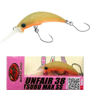 bL[Ntg AtFA38 Tsubu MAX SSAGANNAǒނ蓹ANNxCgAtBbVO A[AGAgEgAǗނ