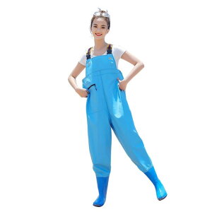 [YMSTco] p EF[_[ `FXgnCEF[_[ fB[X tC   V_[xg h h~ ނpX[c ނ  |Pbgt