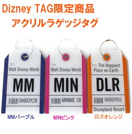 アウトレットセールディズニーアクリル ラゲッジタグ Disney TAG限定商品　トラベルネームタグ　ラゲージタグ