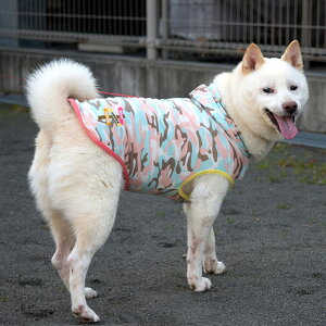 ySALEFiւzIDOG&ICAT ^pm Jtp[J[ AChbO@ʕEGA@̕y2܂ŒǐՉ\[ւł͂z