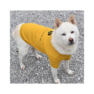 ySALEFiւzIDOG&ICAT@ MOSCAPE+COOL25 ^pLclVK[bgg[i[ h 25L[v ̕@G炳ȂĂł`yǐՉ\[ւł͂z