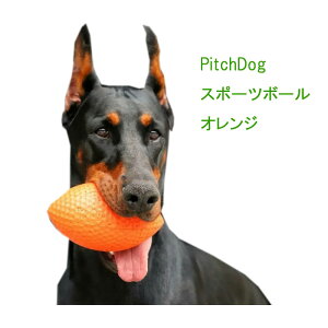 yʌIzPitchDog SPORTBALL sb`hbO X|[c{[sIWtyʗXցEyjzBȂEo׌3`7Oł͂zDearEChildren