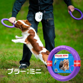PULLER MINI　プラーミニ2個1組☆プラーはドーナッツ型のドッグトレーニング玩具★丈夫！こわれにくい！【レターパックプラスでお届け】
