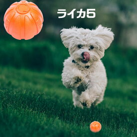 LIKER5　ライカ5★魔法のボール☆トレーニングに！しつけに！☆楽しく遊ぼう♪丈夫！こわれにくい！【普通郵便・土日祝配達なし/出荷後3～7日前後で配達予定】