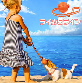 LIKER5 LINE★ライカ5ライン★ボールにベルトがついてる！丈夫！こわれにくい！【普通郵便・土日祝配達なし/出荷後3～7日前後で配達予定】