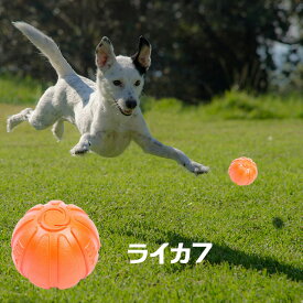 LIKER7　ライカ7★魔法のボール☆トレーニングに！しつけに！☆楽しく遊ぼう♪　丈夫！こわれにくい！【普通郵便・土日祝配達なし/出荷後3～7日前後で配達予定】260823BP1588