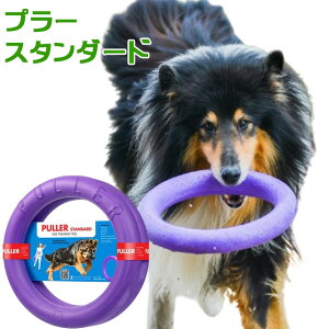 PULLER Standard@v[EX^_[hETCY21gv[̓h[ibc^̃hbOg[jOߋvIɂIyzւł͂z80S