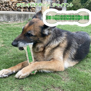 GEWCAgTCYEN`RA{[@WCAg@JVJVĒe͂̂銚݂OȂÎy2܂Ń^[pbNvXł