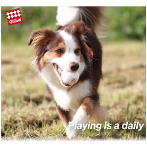 vbc GiGwi |bvp STCY CtBiW[̗pÎ@{[@vIɂIyʗXցEyjzBȂ/o׌3`7OŔzBz