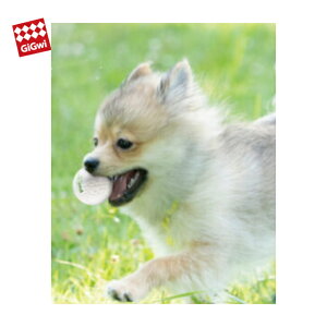 vbc GiGwi |bvp XSTCY CtBiW[̗pI@^p@̂@{[@vIɂIyʗXցEyjzBȂEo׌3`7OŔzBz