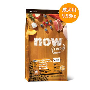 ypzNOW FRESH OCt[ M[sA_g tiE tbVhbOt[ĥ͂