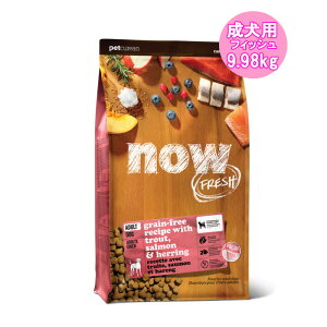 ypzNOW FRESH OCt[ M[s tBbVA_gt iE tbVhbOt[ĥ͂