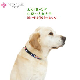 ペタプラス《わんくるバンド L》 中型～大型犬用のネックバンド　 チロリアンテープでKAWAII！【首周り42～58cm】温泉鉱物で体幹強化+血流促進、神経コンディショニングで快調・　テラヘルツで免疫力をサポート【追跡可能メール便でお届け】華やぐ　かわいい