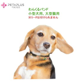 ペタプラス 《わんくるバンドS》小型犬、大型猫のネックバンド 　チロリアンテープでKAWAII!　【首周り23～38cm】温泉鉱物で体幹強化+血流促進、神経コンディショニングで快調・　テラヘルツで免疫力をサポート【追跡可能メール便でお届け】華やぐ　かわいい