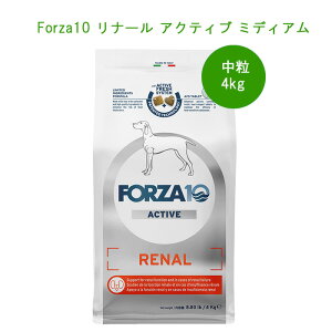 ypzForza10 i[ ANeBu s~fBA 4kgttPA@hbOt[h
