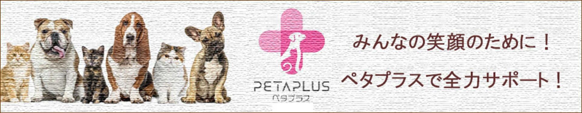 ペタプラスで愛犬愛猫を全力でサポート