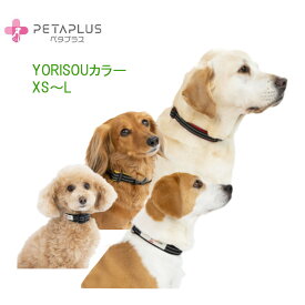 ペタプラス《YORISOUカラー》3色4サイズ　よりそうカラー　犬の首輪　温泉鉱物で体幹強化に加え血流促進、神経コンディショニングで愛犬をサポート　散歩にも使える　テラヘルツで免疫力をサポート【追跡可能メール便でお届け】