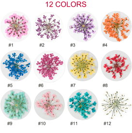 フラワー 押し花 ドライフラワー ネイル 花 12色自由選べる ネイル用品 ホイル ジェル ネイル レジン パーツ の埋め込みに