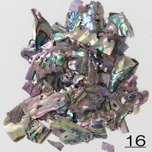 lCA[g VFt[N W P[Xɓ 2g  ZtlC WFlC