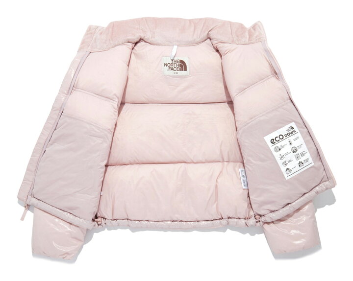 楽天市場】【2024-25年秋冬新作】ザ ノースフェイス 韓国 THE NORTH  