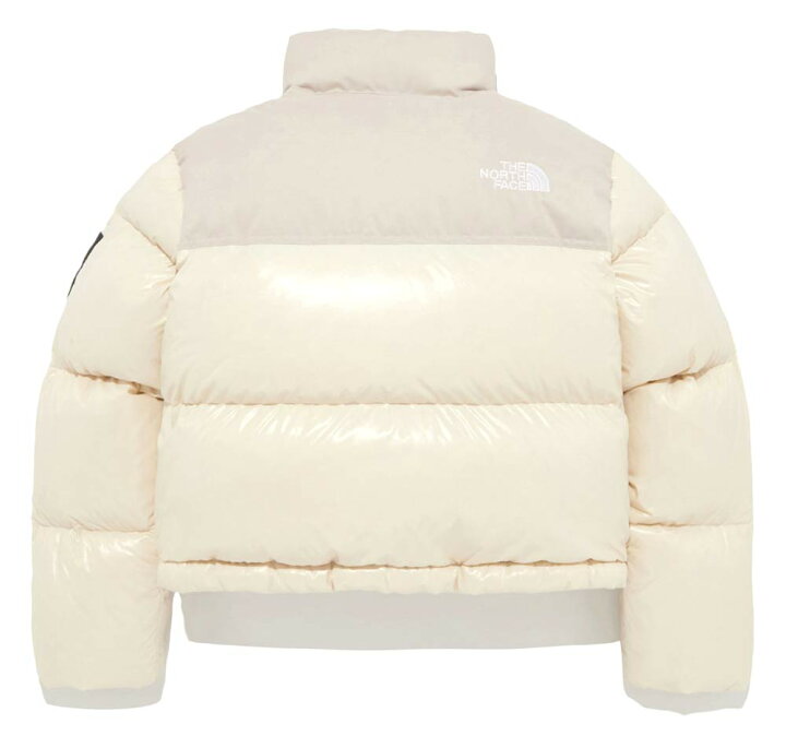 楽天市場】【2024-25年秋冬新作】ザ ノースフェイス 韓国 THE NORTH  