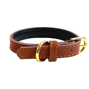 SWAGGINTAILS XMeCY  [h [V  hbOJ[ U ^ ^ ^ kuh