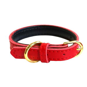 SWAGGINTAILS XMeCY  [h [V  hbOJ[ U ^ ^ ^ kuh